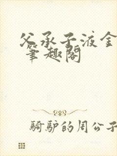 父承子液金银花 笔趣阁