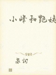 小峰和艳姨封面