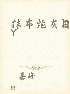 抹布炮灰日记BY封面