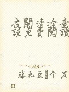 夜阑清冷意欢小说免费阅读