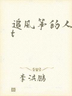 追风筝的人txt封面