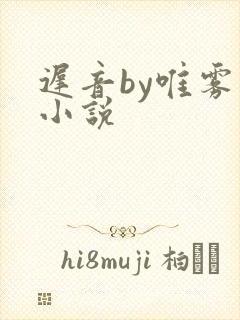 迟音by唯雾的小说