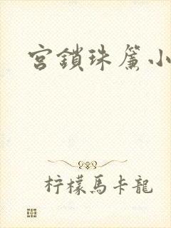 宫锁珠帘小说