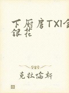 下厨房TXl金银花