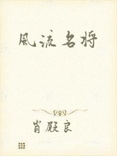 风流名将封面