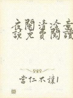 夜阑清冷意欢小说免费阅读