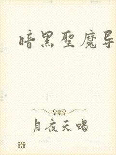 暗黑圣魔导