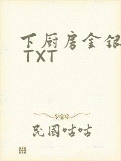 下厨房金银花露 TXT封面
