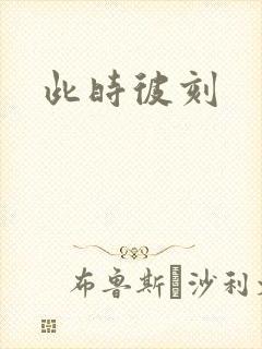 此时彼刻封面