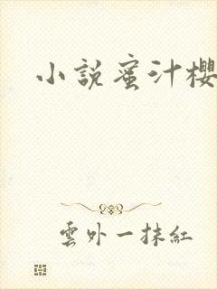 小说蜜汁樱桃