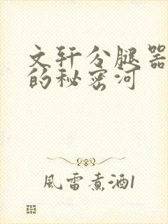 文轩分腿器河马的秘密河