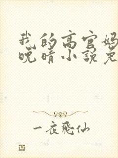 我的高官妈妈苏晚晴小说免费阅读