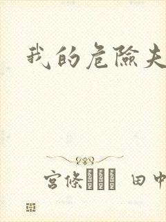 我的危险夫人