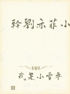 干刘亦菲小说