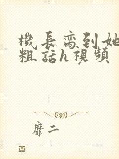 机长脔到她哭h粗话h视频