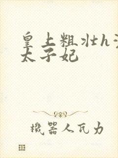 皇上粗壮h灌满太子妃