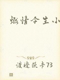 燃情今生小说