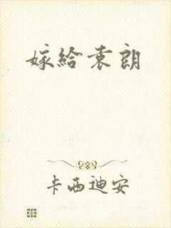 嫁给袁朗