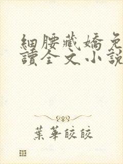 细腰藏娇免费阅读全文小说苏珞浅封面