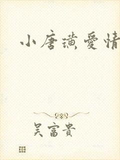 小唐璜爱情历史