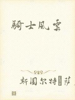 骑士风云封面