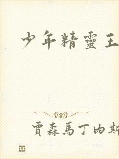 少年精灵王