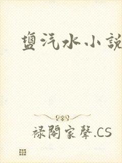 盐汽水小说
