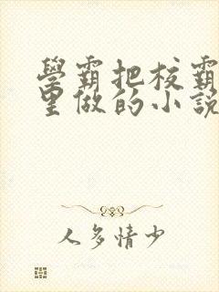 学霸把校霸往死里做的小说