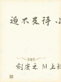 迫不及待 小穴