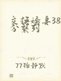 交换娇妻38部分系列封面