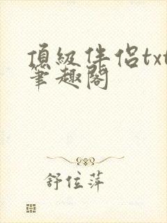 顶级伴侣txt笔趣阁