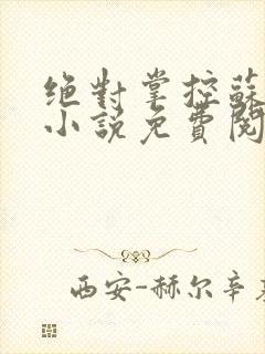 绝对掌控苏绵绵小说免费阅读全文封面