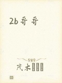 2b哥哥封面
