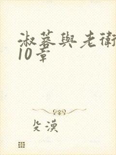 淑蓉与老卫1-10章封面