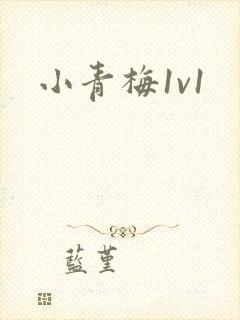 小青梅1v1封面