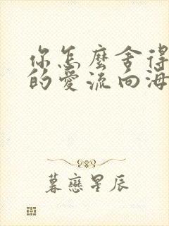 你怎么舍得让我的爱流向海