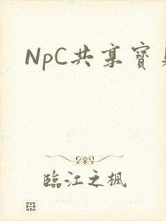 NpC共享宝贝