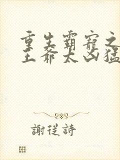重生霸宠之摄政王爷太凶猛