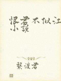 恨君不似江楼月小说