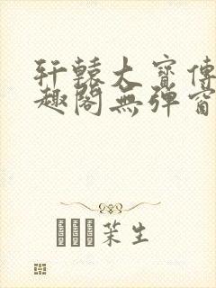 轩辕大宝传奇笔趣阁无弹窗