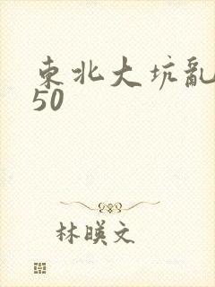 东北大坑乱1—50封面