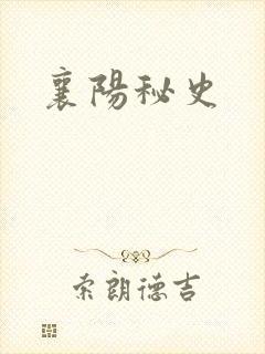 襄阳秘史