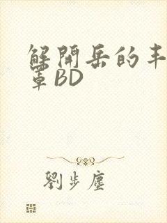 解开岳的丰满奶罩BD