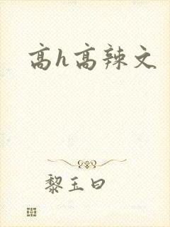 高h高辣文