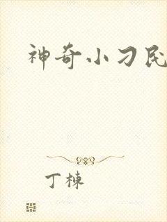 神奇小刁民