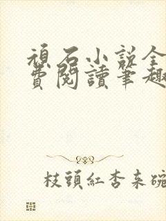 顽石小说全文免费阅读笔趣阁