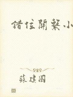 错位关系小说