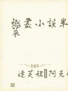 燃尽小说半截白菜