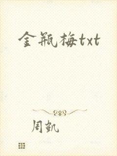 金瓶梅txt封面