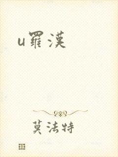 u罗汉封面